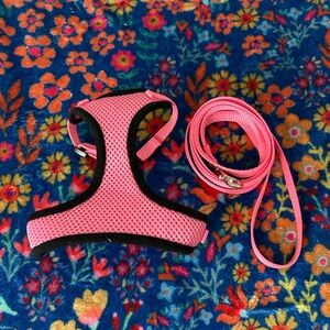 Leash & harness set